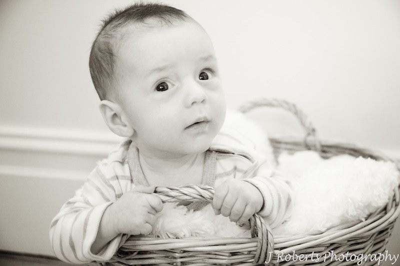 Sepia photo of baby in basket - baby portrait photography sydney